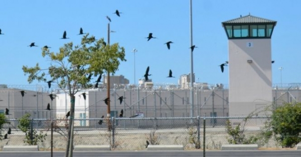 With the new prison reform measure passed, up to 10,000 California non-violent detainees may be eligible for early release.