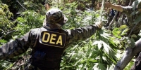 More Drug War History in the Making: The U.S. House Votes to Weaken the DEA and Support Medical Pot