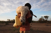 Ekai Lopeyak walks home carrying the body of one of his family’s goats, which he found dead outside the town of Kalokol on the western shore of Lake Turkana in November. Traditional pastoralists have turned to fishing in ever greater numbers in recent years as drought has decimated their herds of livestock. 