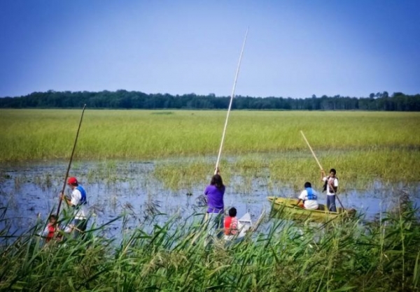 Ojibwe youth tend to a wild rice crop on Leech Lake reservation in Minnesota. An Enbridge pipeline cuts directly through the reservation.